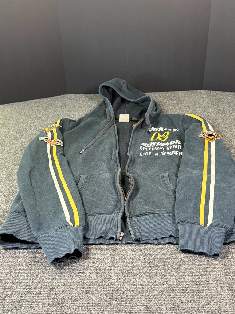 RARE Discontinured LIMITED EDITION: Men's Harley-Davidson Speedway Spirit Hoodie